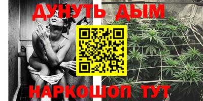PSILOCYBIN Бугуруслан