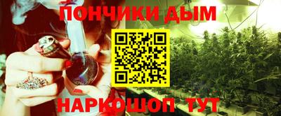 PSILOCYBIN Бугуруслан