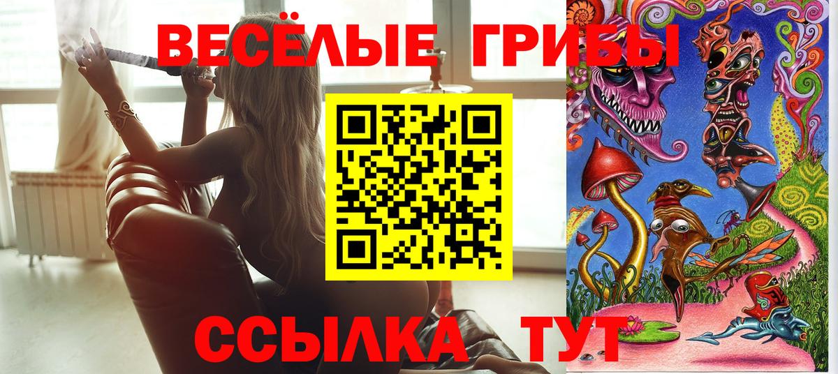 Красноярск  Псилоцибиновые грибы GOLDEN TEACHER  Вход с VPN 