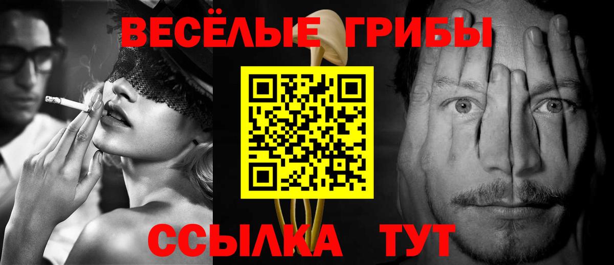 Псилоцибиновые грибы GOLDEN TEACHER Красноярск